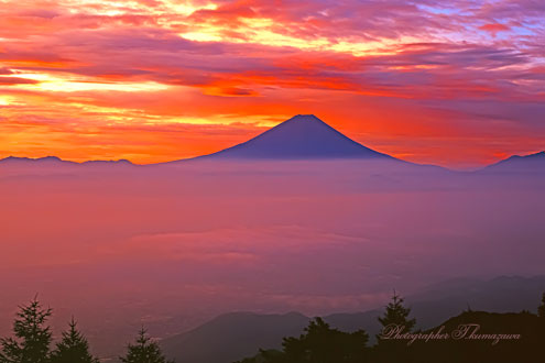 20100808-amariyama4520
